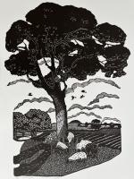 August-Land